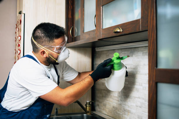 Best Affordable Pest Control Services  in Reedsville, WI