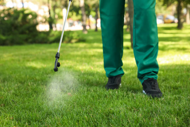 Best Affordable Pest Control Services  in Reedsville, WI