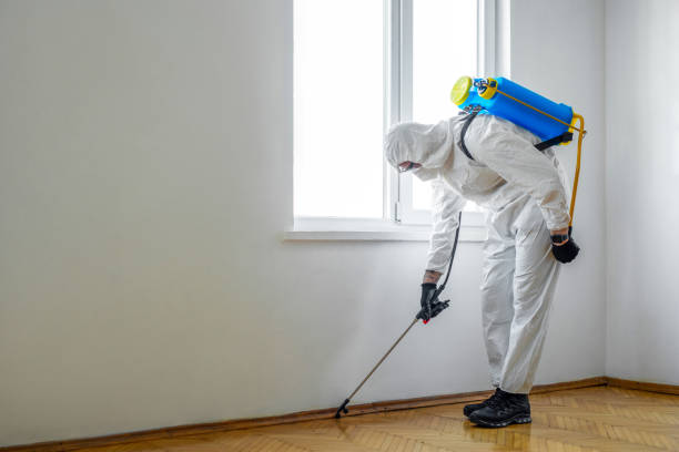 Best Flea Control Services  in Reedsville, WI