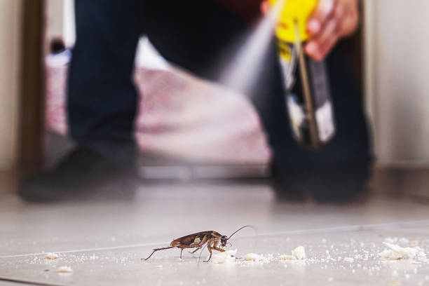 Best Emergency Pest Control  in Reedsville, WI