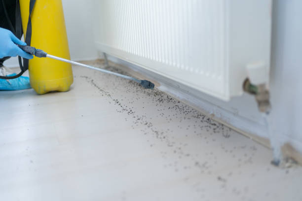 Pest Control Cost in Reedsville, WI