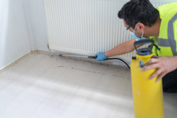 Best Flea Control Services  in Reedsville, WI