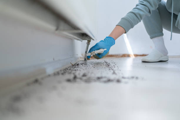 Best Local Pest Control Services  in Reedsville, WI