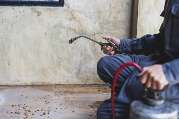Best Pest Control Near Me  in Reedsville, WI