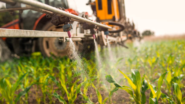 Best Ant Control Services  in Reedsville, WI